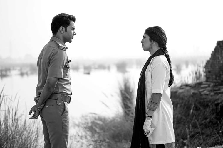 bheed movie