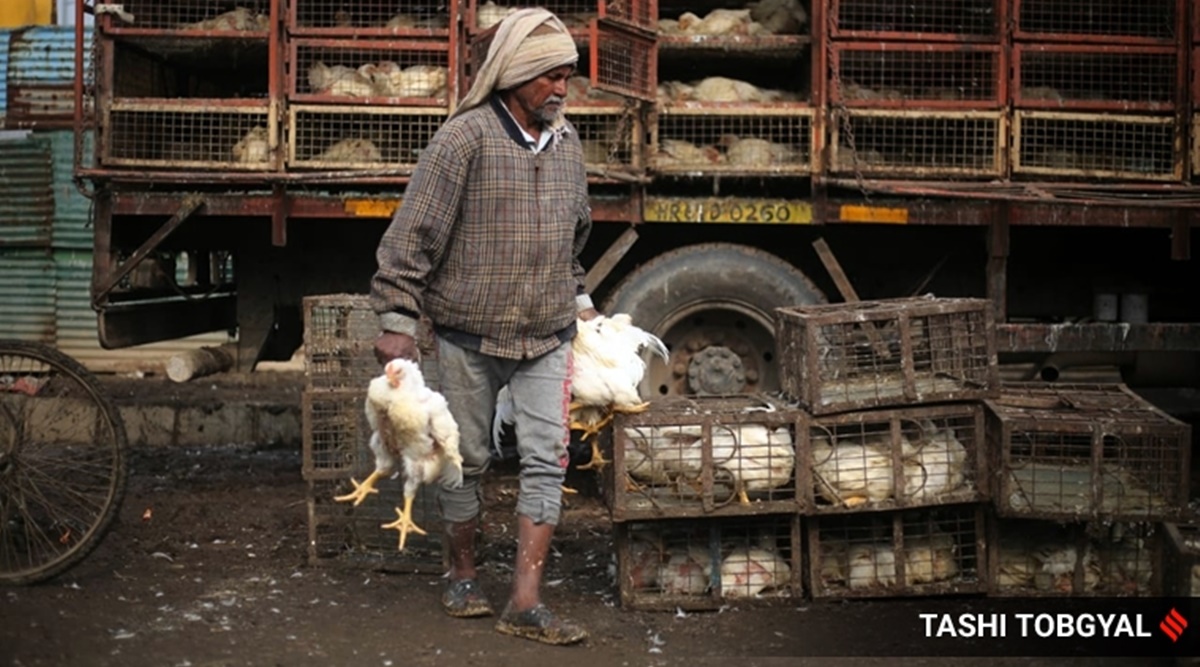 Amid bird flu scare, Jharkhand health minister says he eats more