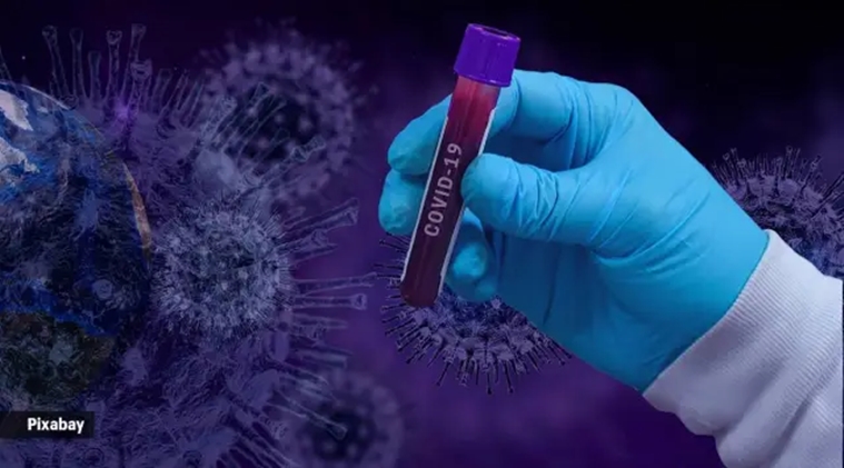 Underactive Immune Response May Explain Severe Covid In Obese Study 
