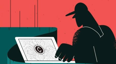 cyber fraud