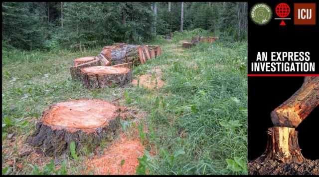 Over the last 10 years, 1,611 square km of forests have been diverted for non-forest purposes.
