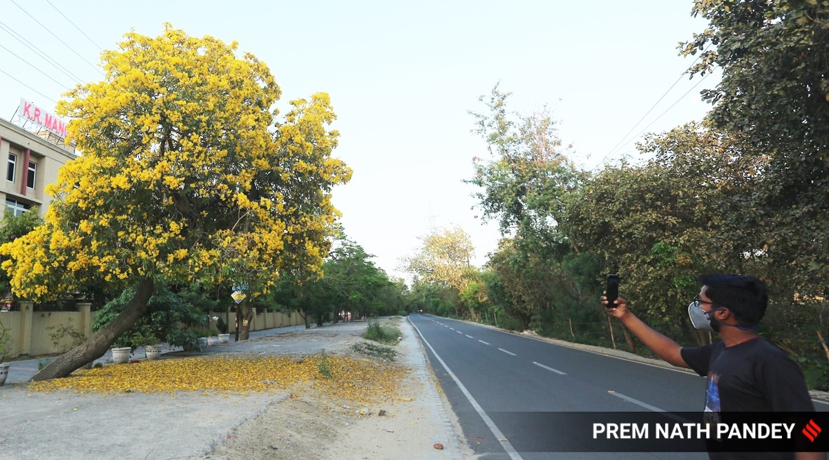 Increase in denser forest area in Delhi between 20012021 a