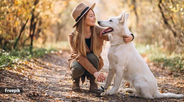 domestication syndrome