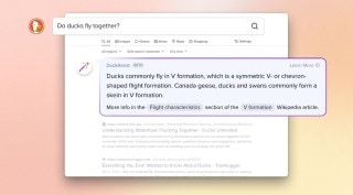 duckduckgo duckassist ai search