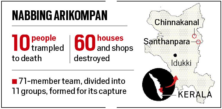 A jumbo mission is in the works to capture a rogue elephant in Kerala