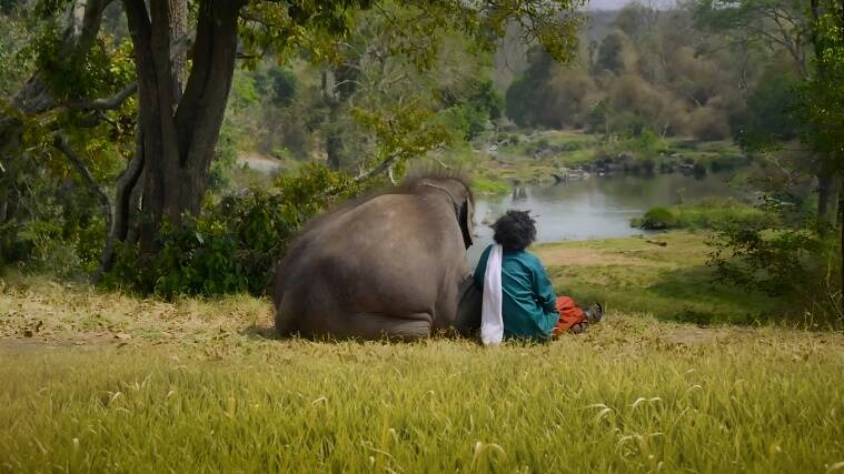 A still from Oscar-nominated documentary The Elephant Whisperers.