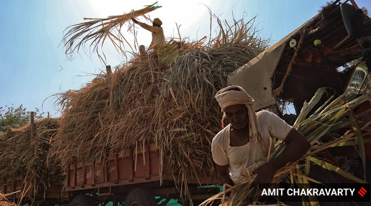 fodder inflation india