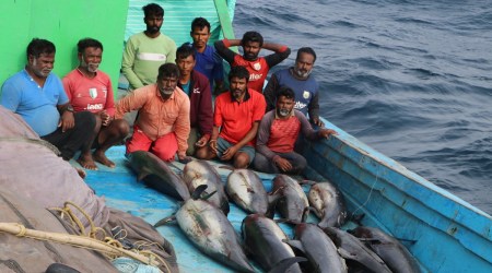 In a joint operation, officers of the Porbandar wildlife division and the Indian Coast Guard intercepted Davana’s 2, a Tamil Nadu-registered trawler, late on Wednesday and found 22 carcasses of dolphins in the boat.