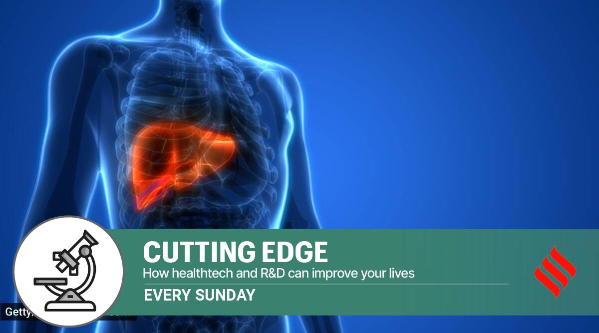 How faecal transplants can save the liver in patients of alcoholic