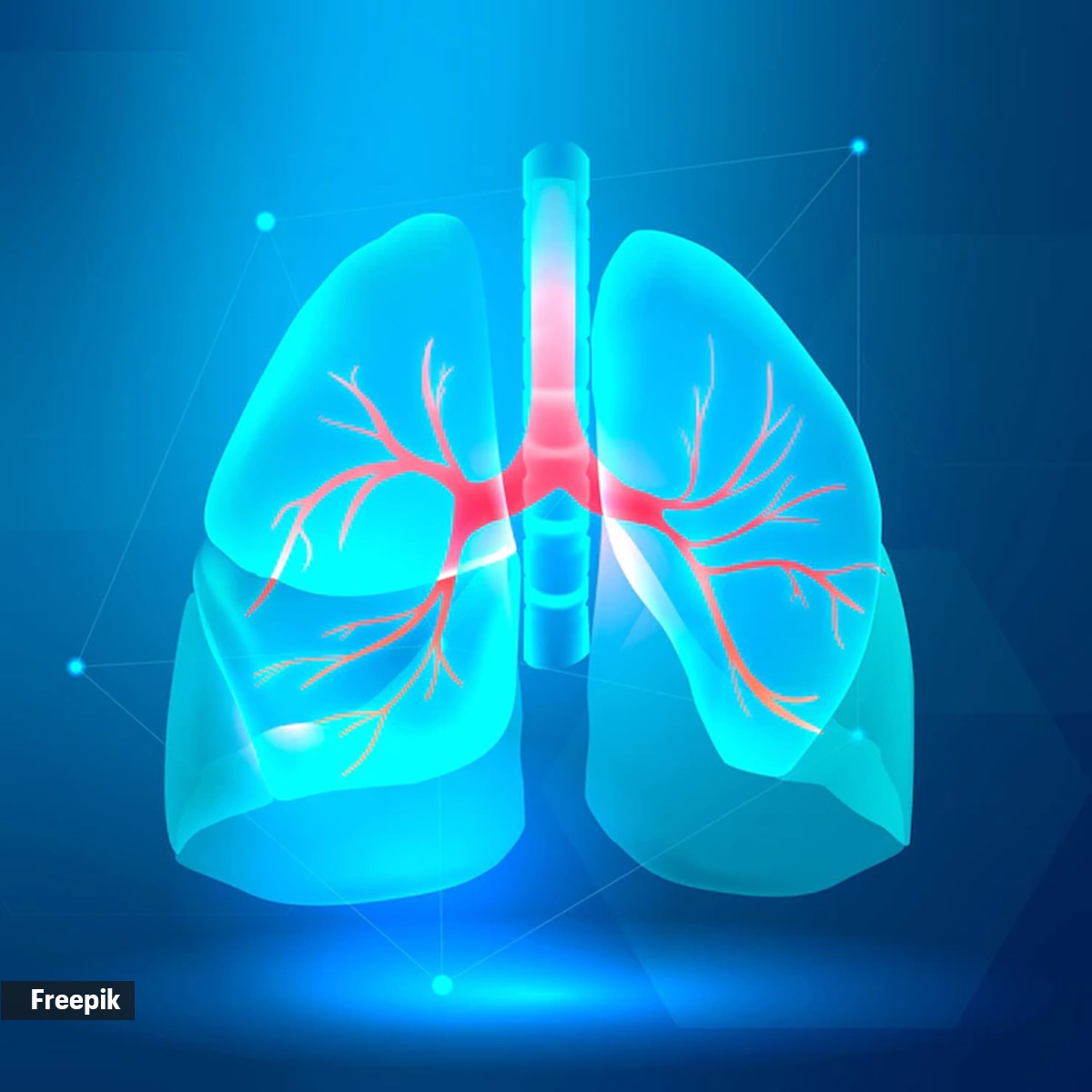 lung
