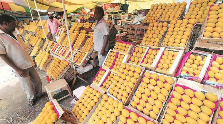Mango sales in Pune, pune mango sale pick pace, e-commerce route, Maharashtra State Agricultural Marketing Board, Indian express