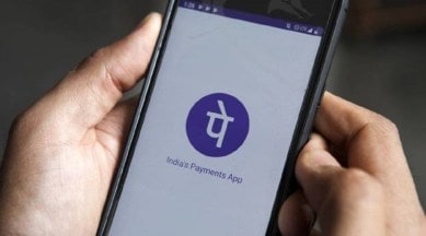 PhonePe funding Walmart