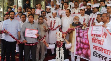 onion prices Maharashtra legislature