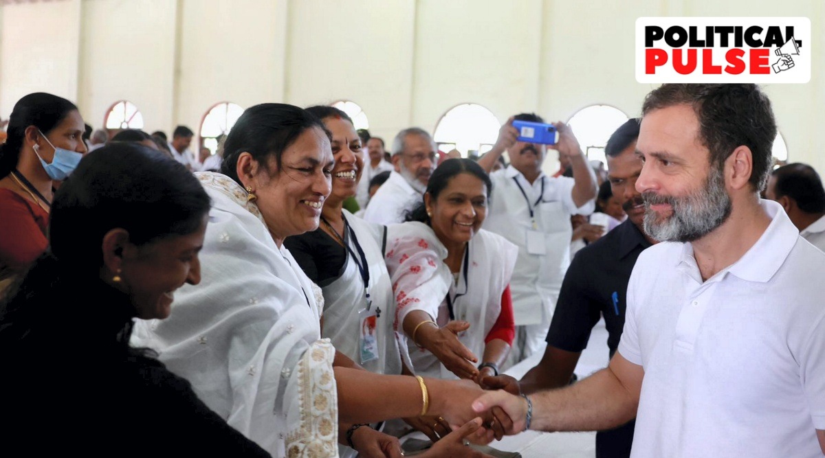 In Wayanad No Sound And Fury Over Rahul Fate As Congress Protests