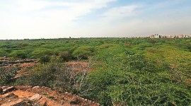 Central Empowered Committee, Supreme Court, morphological ridge, construction restrictions in ridge, Delhi news, New Delhi, Indian Express, current affairs