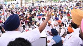 sad bsp alliance punjab dharna aap government anniersary