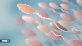 Sperm donation