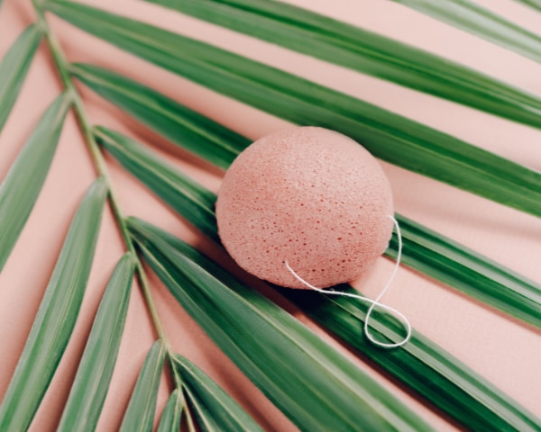 Konjac Sponge