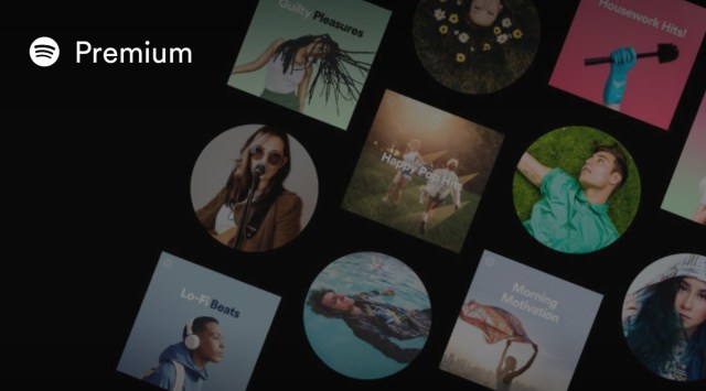 spotify premium 4 months free india