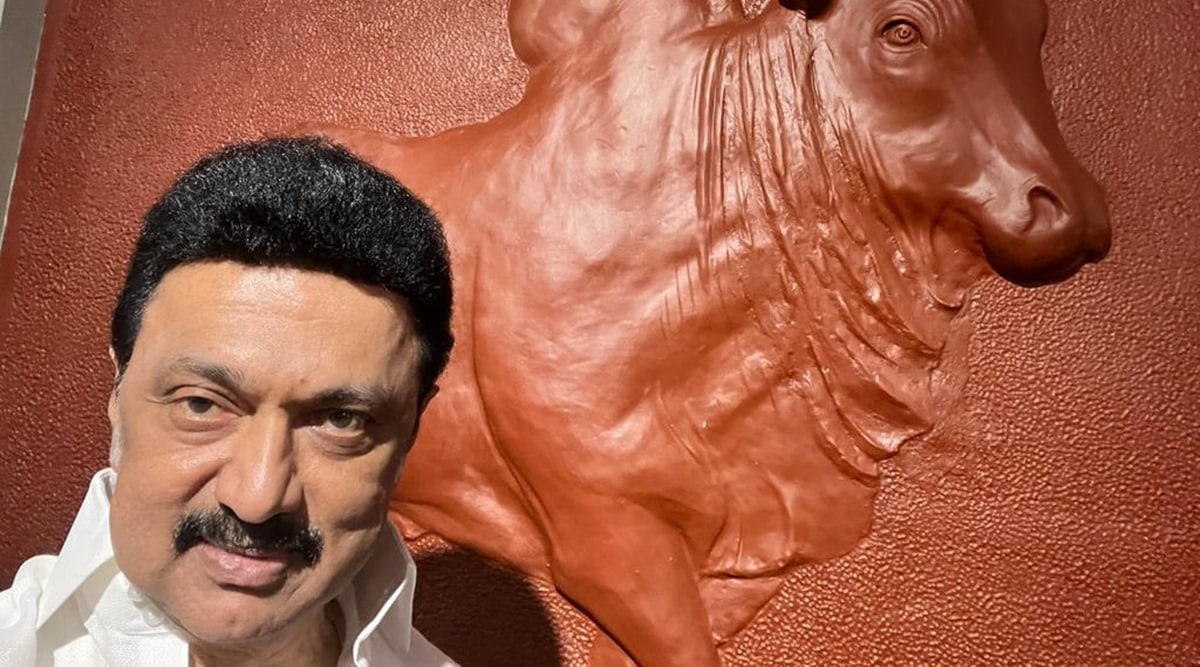 Tamil Nadu CM Stalin inaugurates Keeladi museum in Sivaganga | Chennai News  - The Indian Express