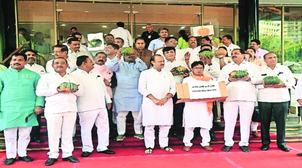 Leader of Opposition Ajit Pawar and MVA MLAs hold a protest to demand relief for state farmers, at the Assembly premises in Mumbai on Friday.  (Express Photo by Ganesh Shirsekar)