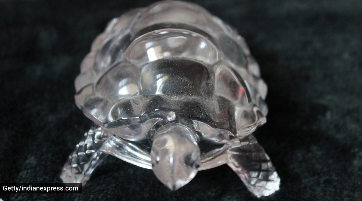 Home decorations: According to vastu shastra, the best direction to keep a turtle figurine is…News WAALI