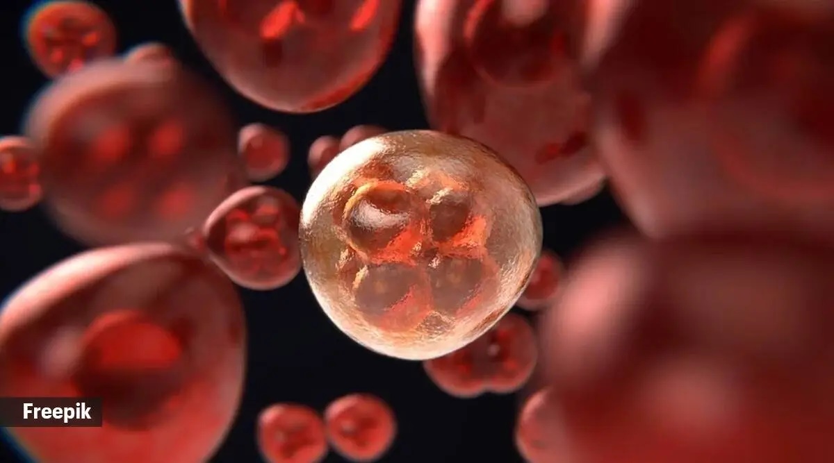 tumour
