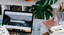 IIM Rohtak invites application for Sports Management programme