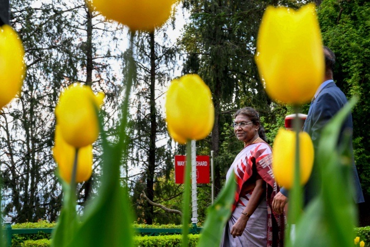 President Murmu at Rashtrapati Niwas in Mashobra