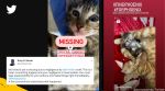 Air India passenger claims she lost her pet cat due to negligence by Air India staff