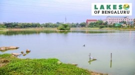 Basavanapura lake