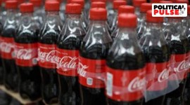 industan Coca-Cola Beverages Ltd, Kerala government, Coca Cola, Palakkad district, Political Pulse, Indian Express, India news, current affairs