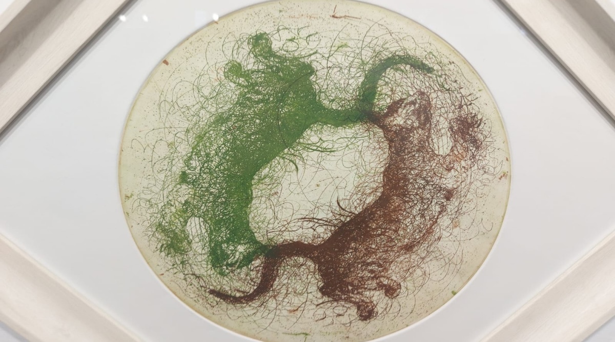 Art She etches magical realism Chandigarh News The Indian Express