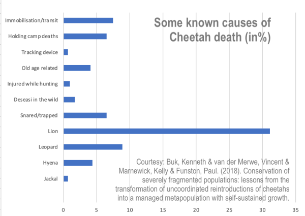 Causes of cheetah death