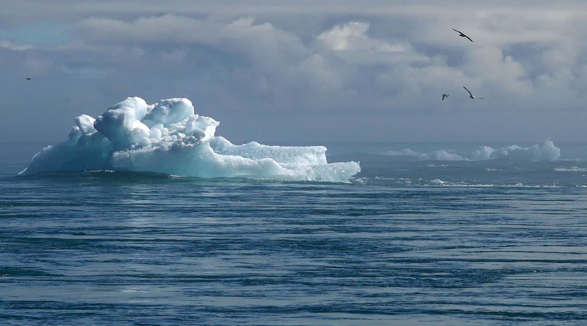 Iceberg floating in sea