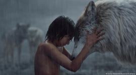 wolves, wolves in popular culture