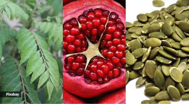 these-seven-foods-are-a-blessing-for-thyroid-health-health-news-the