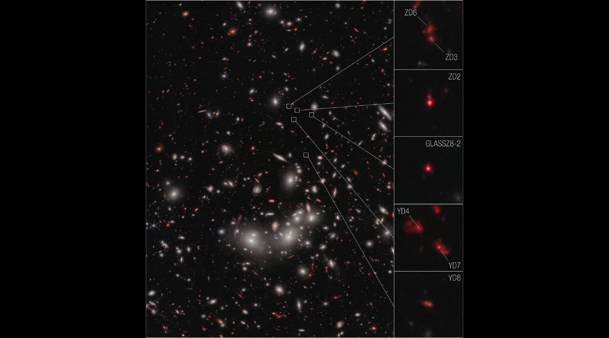 Glaaxy protocluster