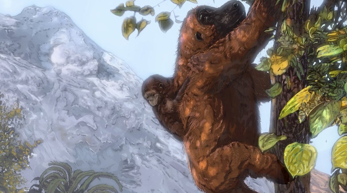 An early ape ancestor of humans