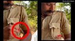 tiny crimson-backed sunbird kerala police
