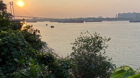 Kolkata Mangroves