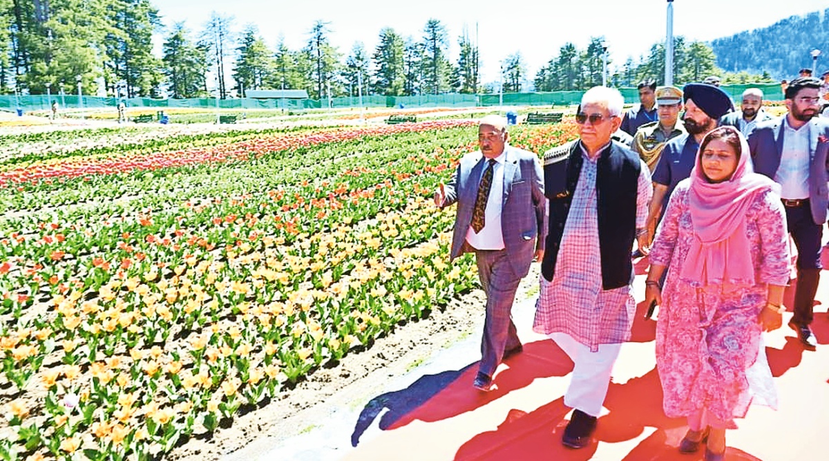 Jammu gets first tulip garden at Sanasar, L-G says it will boost ...