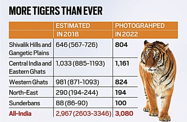 A roar of applause: Peace back in Manas National Park, so is the tiger ...