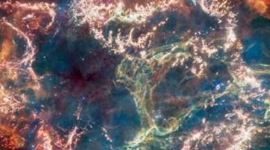 Cas A supernova in this image from the WEbb Telescope