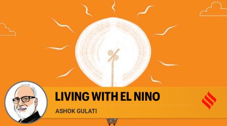 The prospect of El Nino hitting India sometime towards the later half of monsoon season has created a new uncertainty about kharif crops.