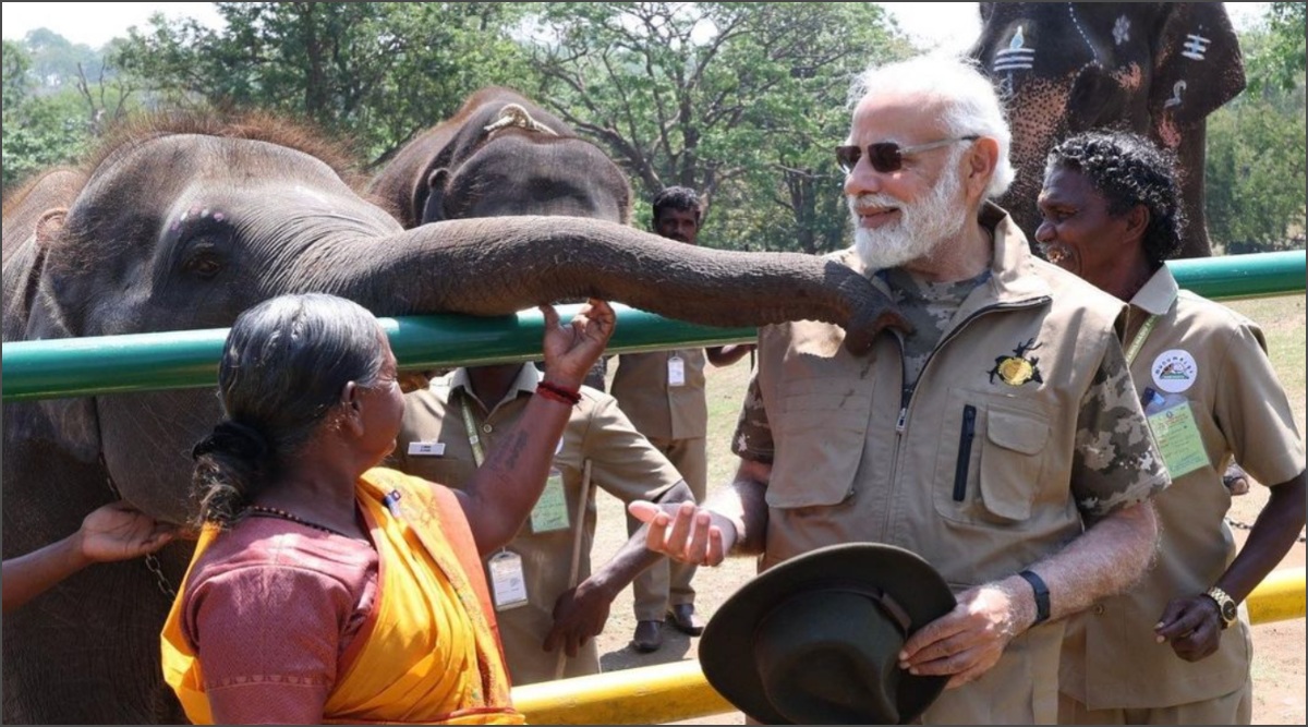 The Elephant Whisperers' Bomman, Bellie send ₹2 crore legal notice to  Kartiki - Hindustan Times