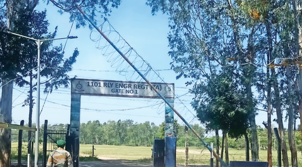 Panchkula green cover and wildlife, chandigarh green cover and wildlife, Panchkula, Punjab and Haryana High Court, Indian Express, India news, current affairs