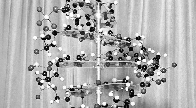 rosalind franklin experiment dna