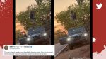 Tourists dance on rented car’s roof in Goa
