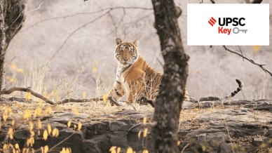 UPSC key terms, upsc news, upsc syllabus, UPSC KEY, Upsc Key terms, IAS current affairs, upsc Key Indian express, The Indian Express current Affairs, Is Indian Express Good for UPSC, upsc today news, upsc newspaper, Indian express today important news for upsc, Indian express monthly current affairs, What should I read in Indian Express for UPSC today, UPSC Answer Key, UPSC Online, IAS, IPS, upsc current affairs news, UPSC KEY News, UPSC Civil services news, UPSC Prelims 2023, UPSC Mains 2023, UPSC Mains 2023, UPSC Mains 2024, UPSC Prelims 2024,